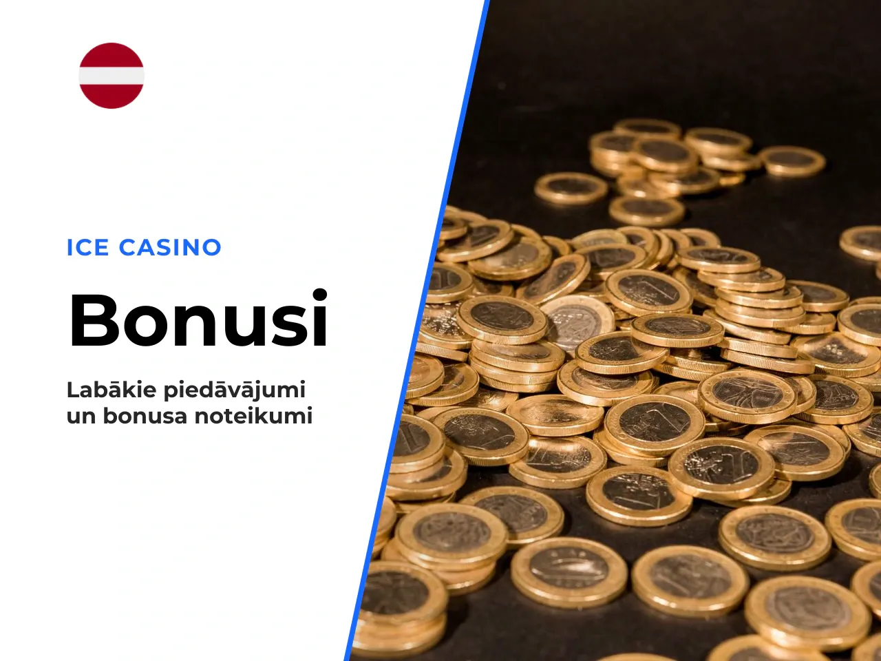 Kopsavilkums, riska dati un redakcijas secinājumi